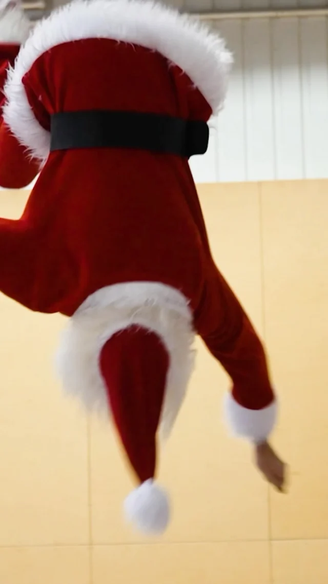 Við elskum fimleika 🎅🤸‍♂️